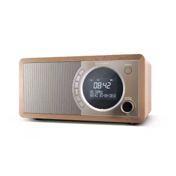 Sharp DR-450 Personal Digital marrone, acciaio inox