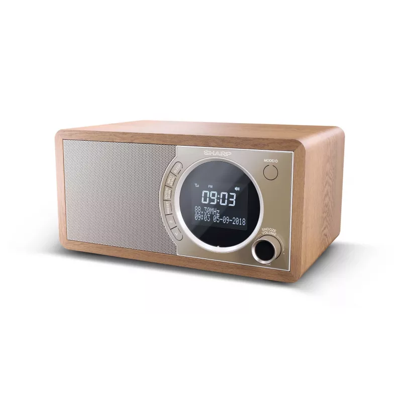 Sharp DR-450 Personal Digital marrone, acciaio inox