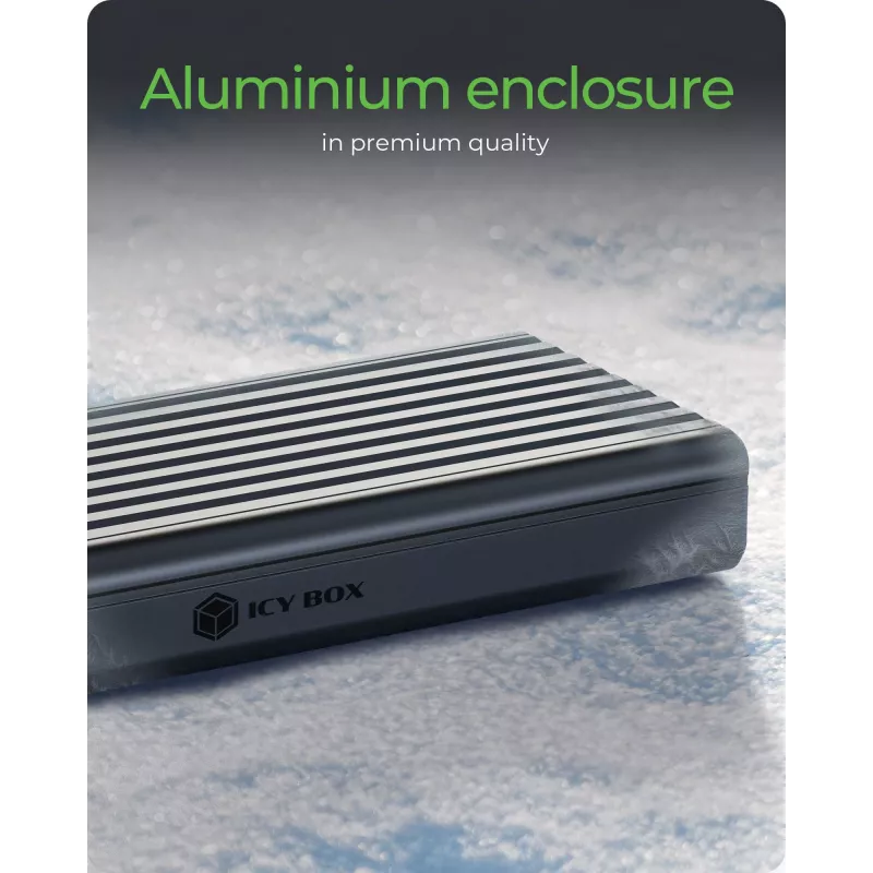 ICY BOX IB-1917M-C32a Case per SSD nero M.2