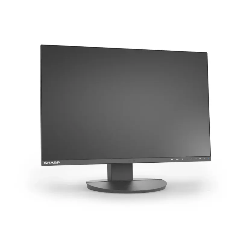 Monitor LCD Sharp MultiSync EA242W 24