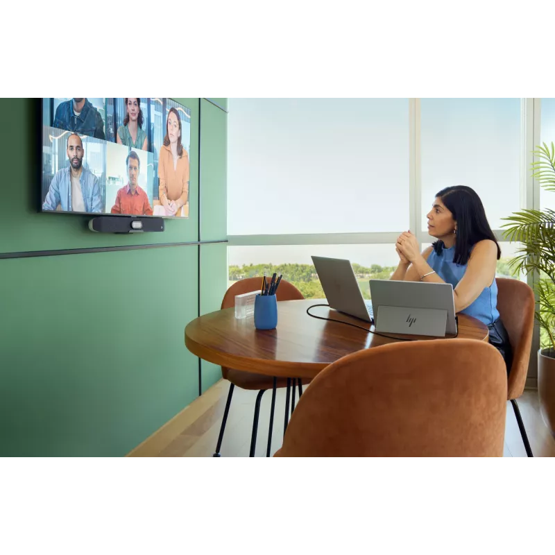 HP Series 5 Pro monitor portatile 14