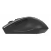 ASUS WT425 mouse ufficio destrorso RF wireless ottico 1600 DPI