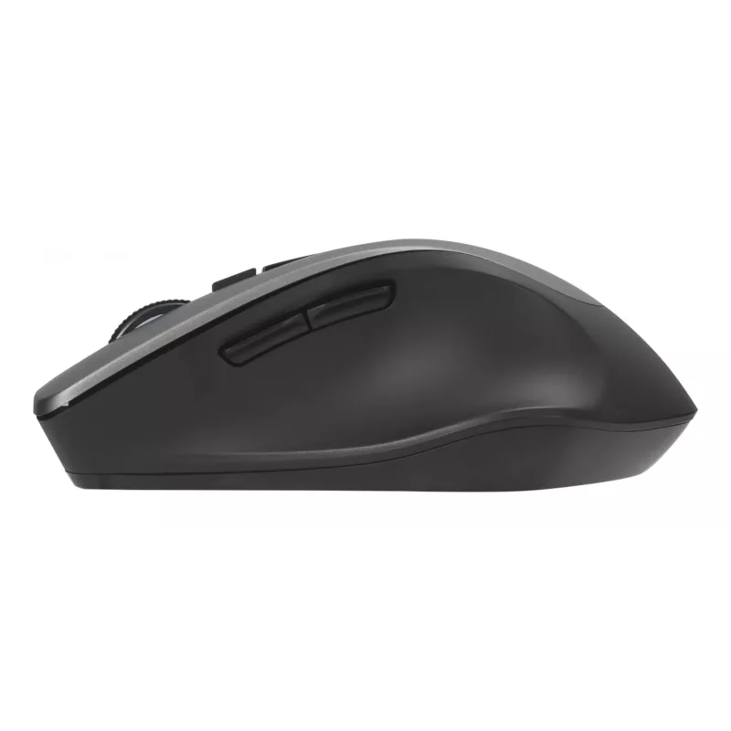ASUS WT425 mouse ufficio destrorso RF wireless ottico 1600 DPI