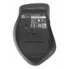 ASUS WT425 mouse ufficio destrorso RF wireless ottico 1600 DPI
