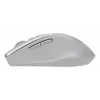 ASUS WT425 mouse ufficio destrorso RF wireless ottico 1600 DPI