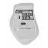 ASUS WT425 mouse ufficio destrorso RF wireless ottico 1600 DPI