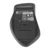ASUS WT425 mouse ufficio destrorso RF wireless ottico 1600 DPI