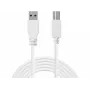 Cavo Sandberg USB 3.0 A-B 1,8 m, 1,8 m, USB A, USB B, USB 3.2 Gen 1 (3.1 Gen 1), 5 Gbit/s, bianco