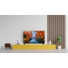 TV TCL 32V4C QLED 32 pollici (81,3 cm) HD 1366×768 Wi‑Fi Ethernet nero