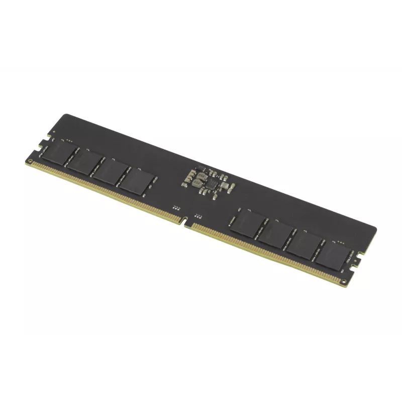 Modulo di memoria Goodram GR5600D564L46S/8G 8 GB 1 x 8 GB DDR5 288 pin DIMM