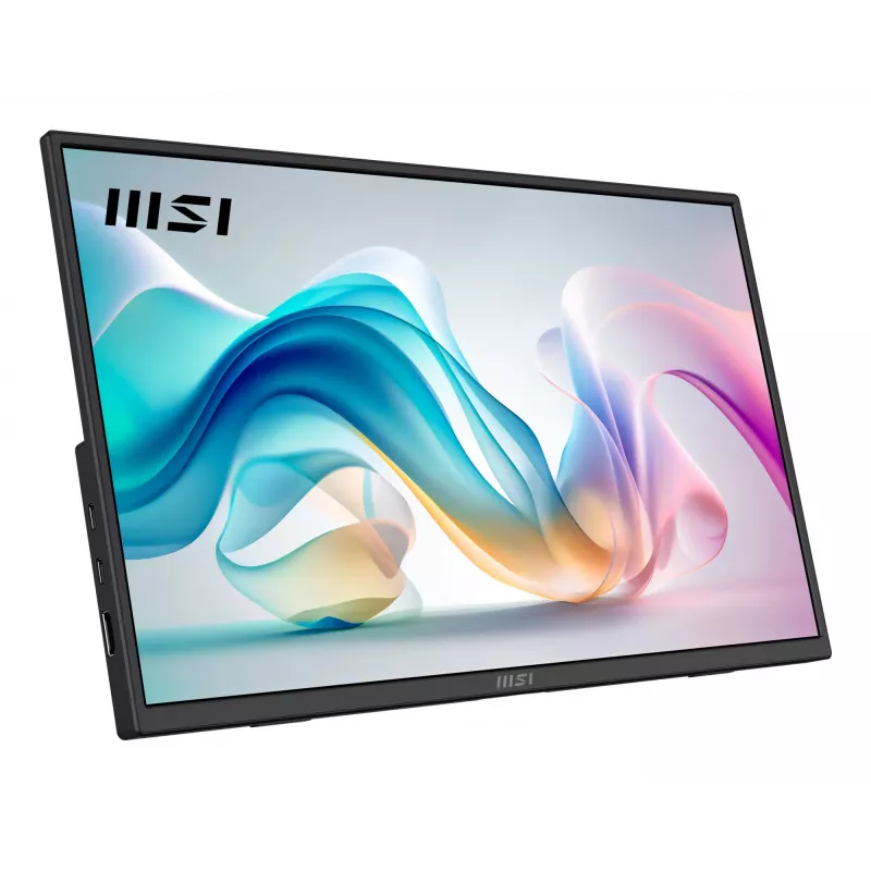 Monitor TV portatile MSI PRO MP165 E6 monitor portatile nero 39,6 cm (15,6
