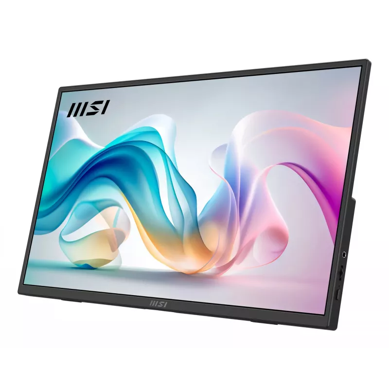 Monitor TV portatile MSI PRO MP165 E6 monitor portatile nero 39,6 cm (15,6