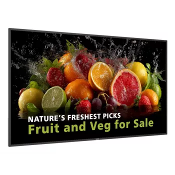 Philips serie 5000 65BDL5050D/00 Signage Display 165,1 cm (65