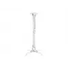 Supporto a soffitto Multibrackets M Universal Projector Mount I
