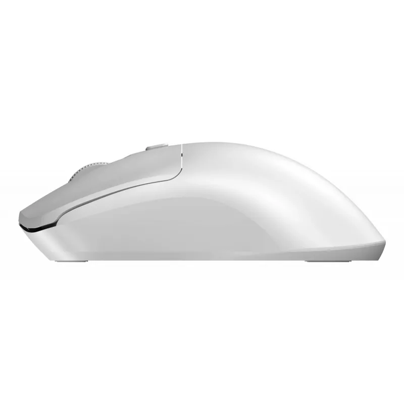 Mouse wireless Sandberg Saver bianco, per entrambe le mani, RF Wireless, 1600 DPI, bianco