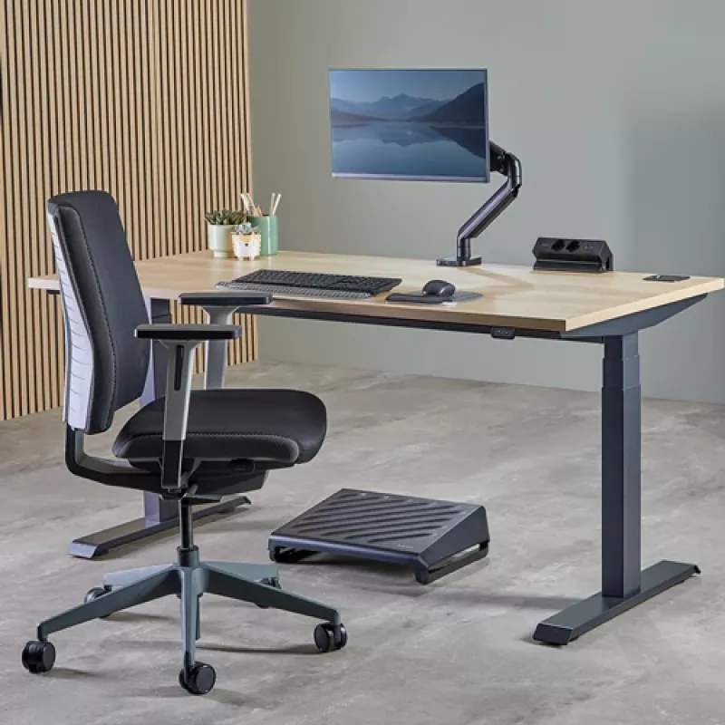 Fellowes 100137182 Prolunga elettrica 2 m 2 prese AC per interni nero