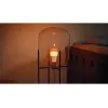 Philips Hue White and colour ambience A60 – Lampadina smart E27 – 810