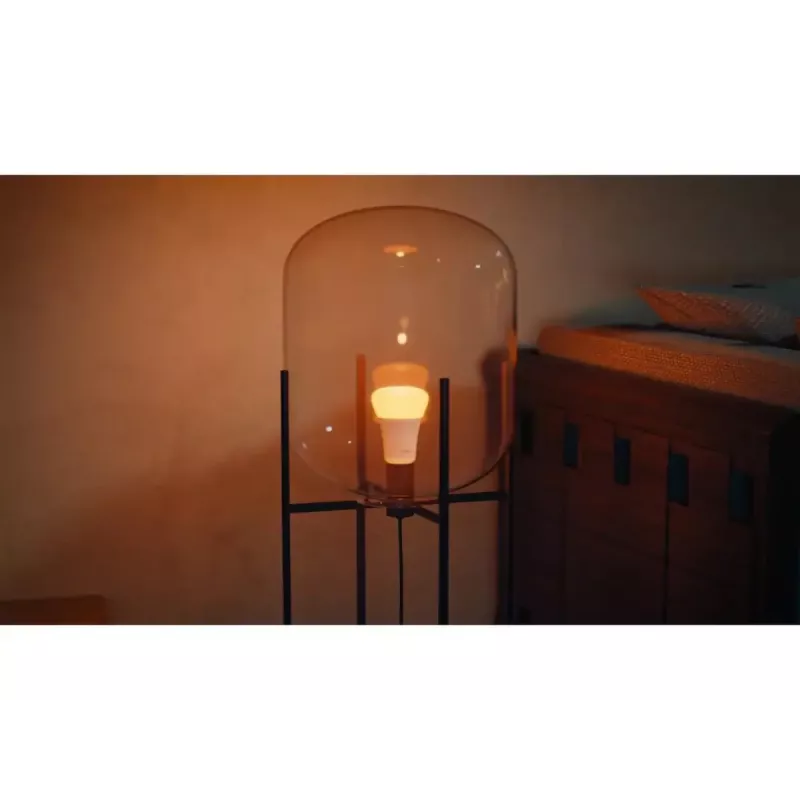 Philips Hue White and colour ambience A60 – Lampadina smart E27 – 810