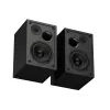 GENESIS NGS-2343 altoparlante nero con filo & wireless 20 W