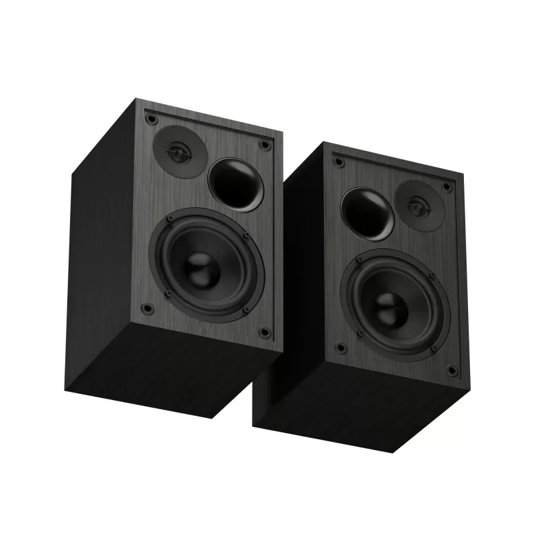 GENESIS NGS-2343 altoparlante nero con filo & wireless 20 W
