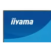 Monitor LED IIYAMA ProLite XB2796QSC-B1 27 inch IPS Quad HD 2560x1440, 4 ms, USB-C, altoparlanti, regolabile in altezza, VESA