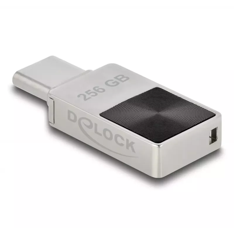 Chiavetta USB DeLOCK 256GB USB-C 3.2 Gen 1 case in metallo