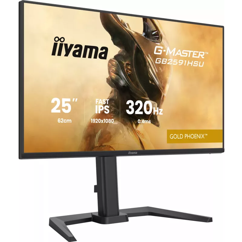 Monitor da gaming IIYAMA G-Master GB2591HSU-B1 24,5 pollici (68,6 cm) Full HD – HDMI/DisplayPort/USB, nero
