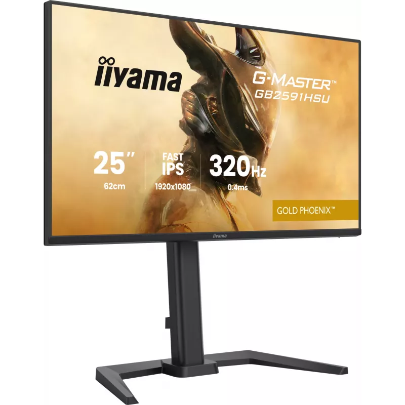Monitor da gaming IIYAMA G-Master GB2591HSU-B1 24,5 pollici (68,6 cm) Full HD – HDMI/DisplayPort/USB, nero