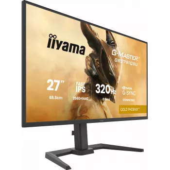 Monitor da gaming IIYAMA GB2791QSU-B1 68,6 cm (27 pollici) QHD con HDMI, DisplayPort e USB, nero