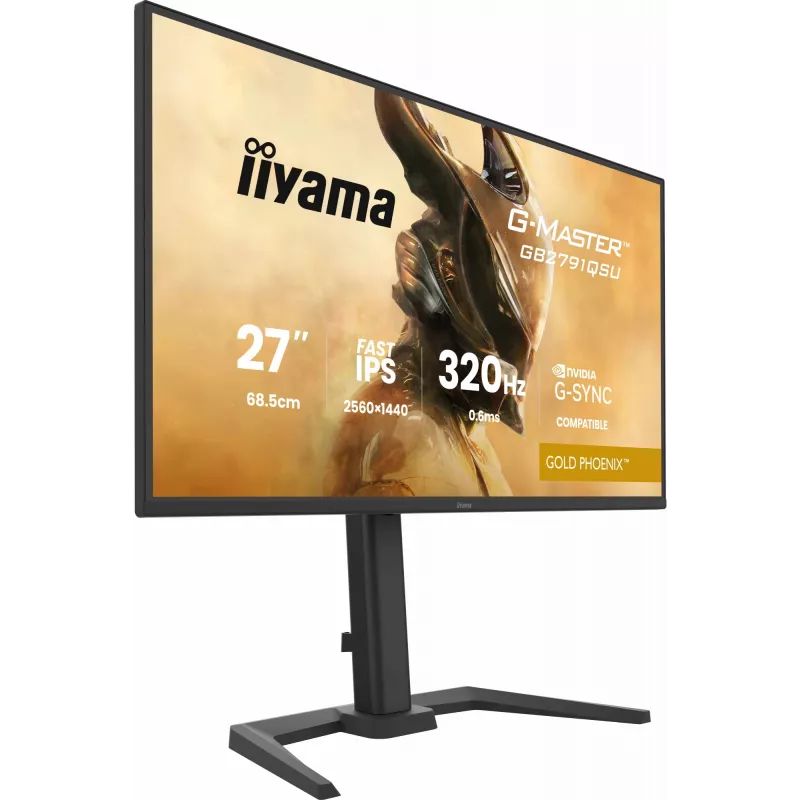 Monitor da gaming IIYAMA GB2791QSU-B1 68,6 cm (27 pollici) QHD con HDMI, DisplayPort e USB, nero