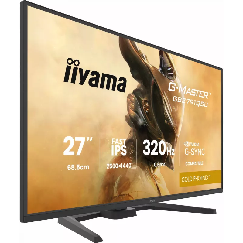 Monitor da gaming IIYAMA GB2791QSU-B1 68,6 cm (27 pollici) QHD con HDMI, DisplayPort e USB, nero