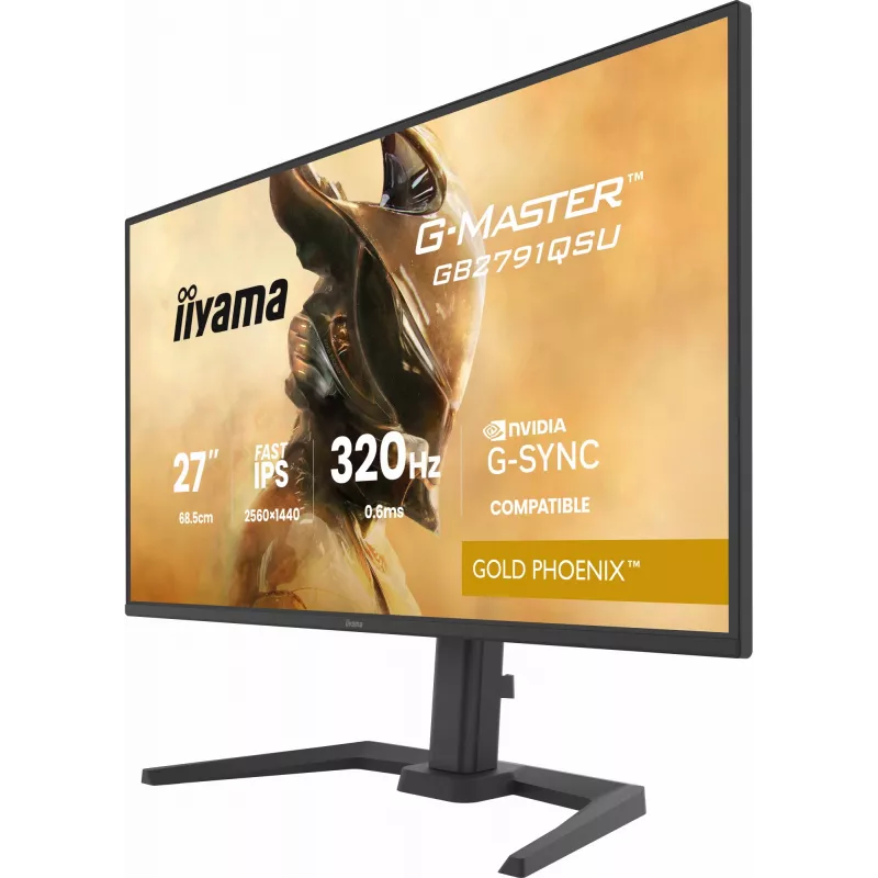 Monitor da gaming IIYAMA GB2791QSU-B1 68,6 cm (27 pollici) QHD con HDMI, DisplayPort e USB, nero