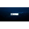 Kingston Technology 240G DC2000B PCIe 4.0 M.2 2280 SSD Enterprise (senza dissipatore)