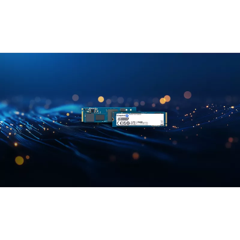 Kingston Technology 240G DC2000B PCIe 4.0 M.2 2280 SSD Enterprise (senza dissipatore)