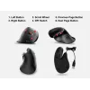 Equip 245119 mouse universale per destrimani USB Type-A + USB Type-C ottico 7200 DPI