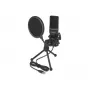 Microfono per PC DeLOCK 66331