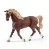 Animale Schleich HORSE CLUB lavatoio con Emily e Luna
