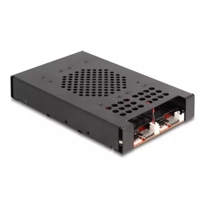 Gabbia per HDD DeLOCK 47070 compatibile con rack metallo 100 mm di larghezza
