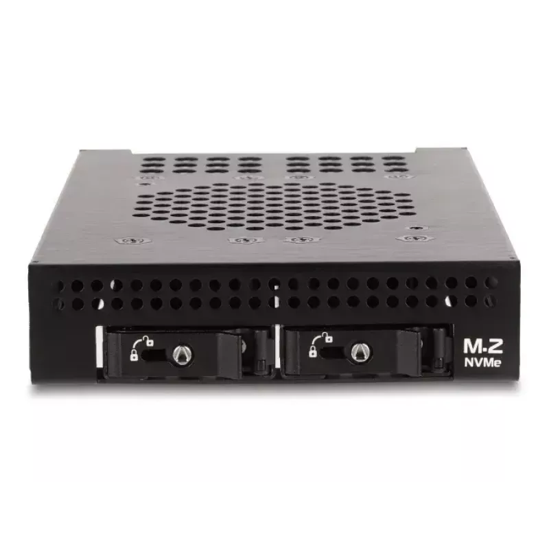 Gabbia per HDD DeLOCK 47070 compatibile con rack metallo 100 mm di larghezza