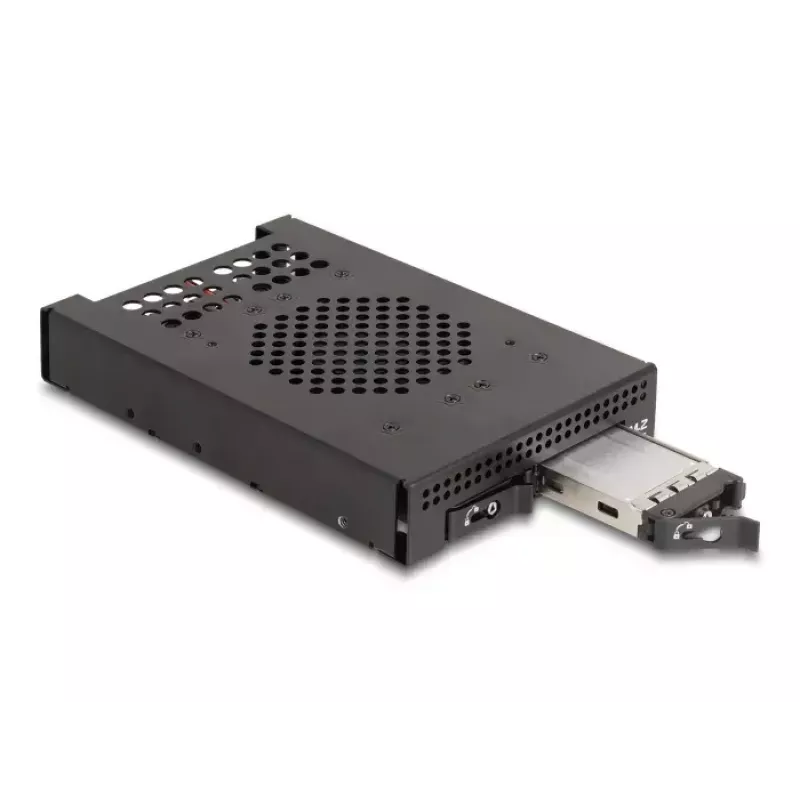 Gabbia per HDD DeLOCK 47070 compatibile con rack metallo 100 mm di larghezza