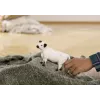 Schleich mucca Galloway 13960 bianco-nero età consigliata 3+