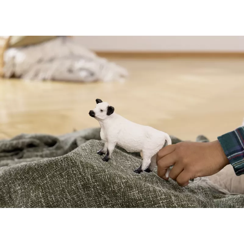 Schleich mucca Galloway 13960 bianco-nero età consigliata 3+