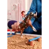 schleich HORSE CLUB avventura western di Hannah, 5 anni, cavalli, multicolore, plastica