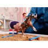 schleich HORSE CLUB avventura western di Hannah, 5 anni, cavalli, multicolore, plastica