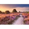 Puzzle Ravensburger Pink Pathway Paesi Bassi, 1000 pezzi, 700×? mm, spessore 2 mm
