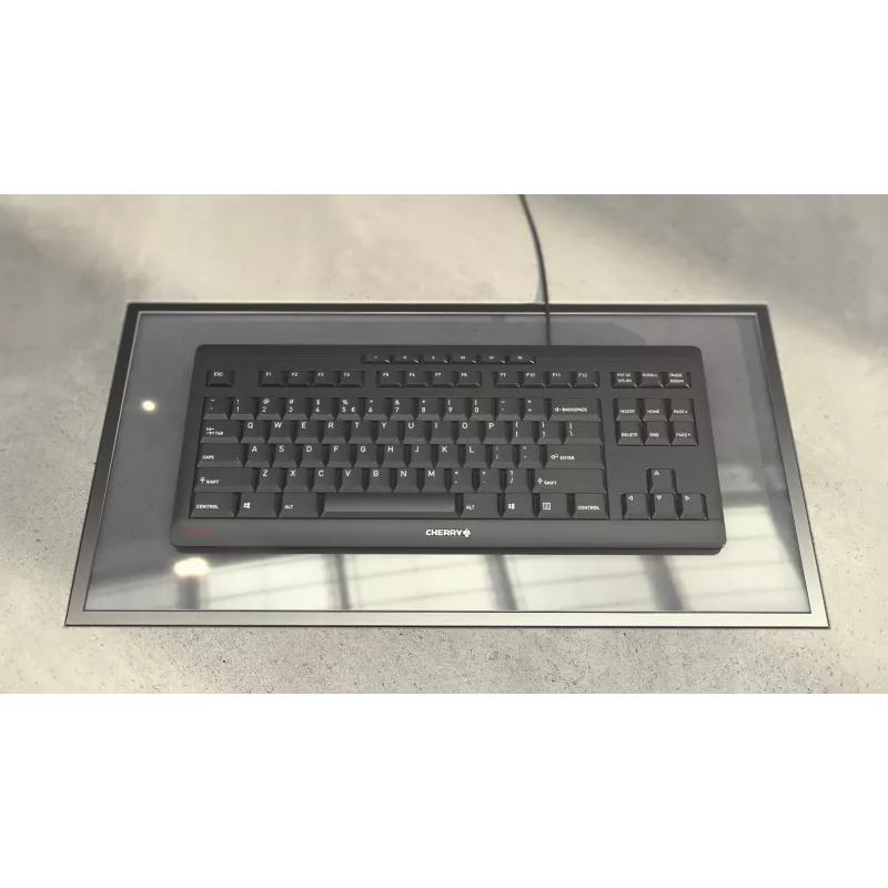 CHERRY STREAM KEYBOARD TKL, USB con cavo, layout US con simbolo dell'euro, grigio chiaro (JK-8600EU-0)