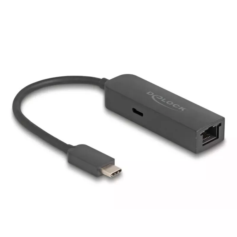 Adattatore USB Type-C DeLOCK 2,5 Gigabit LAN alimentazione 100 W