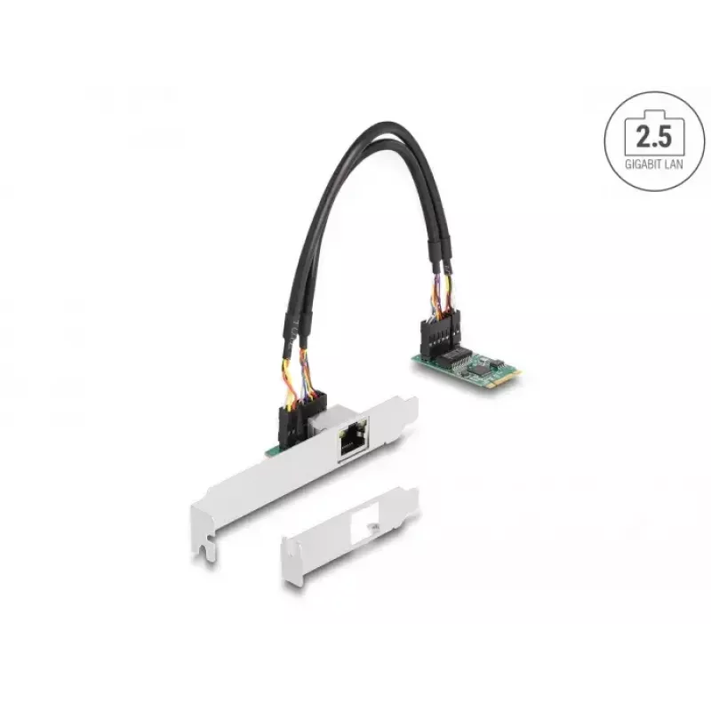 DeLOCK 95272 Scheda di rete interna 2500 Mbit/s cablata M.2 Ethernet
