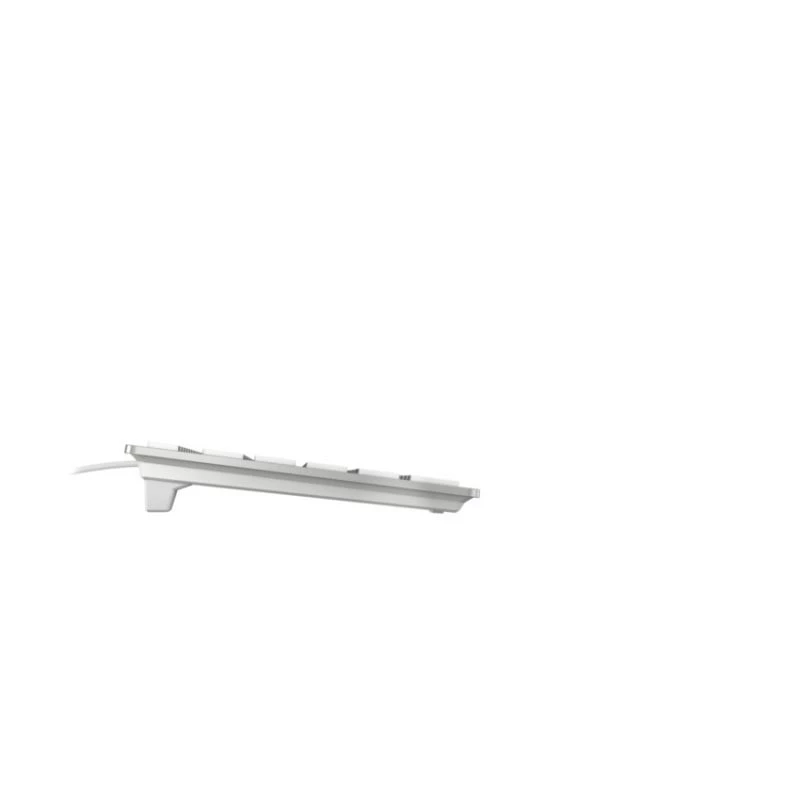 Cherry KC 6000C for Mac tastiera, USB-C, inglese USA, argento