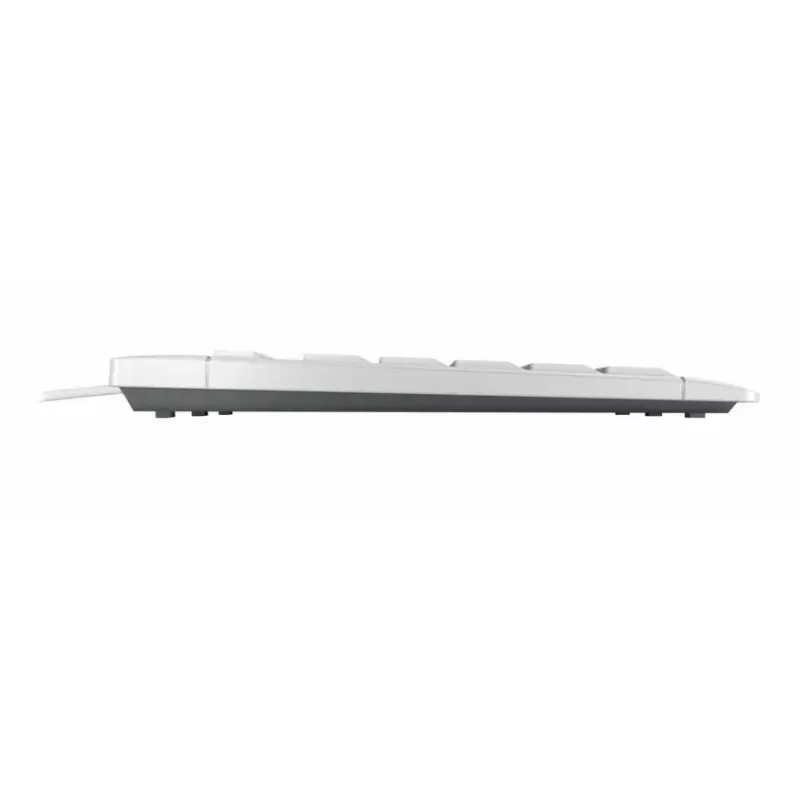 Cherry STREAM KEYBOARD, a dimensioni standard